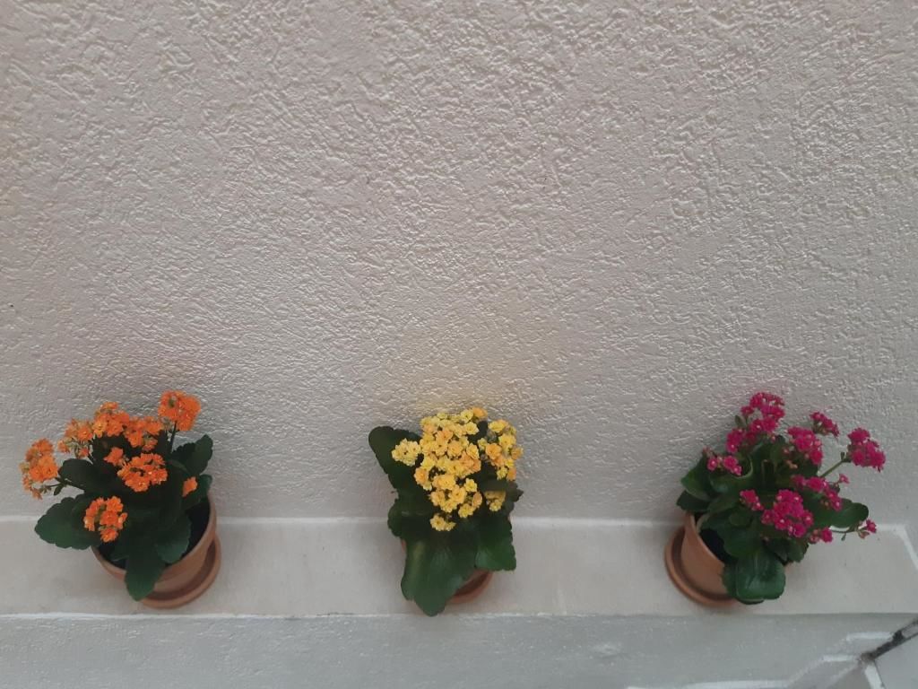 Апартаменты Apartment Nada Котор