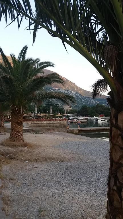 Апартаменты Apartment Nada Котор