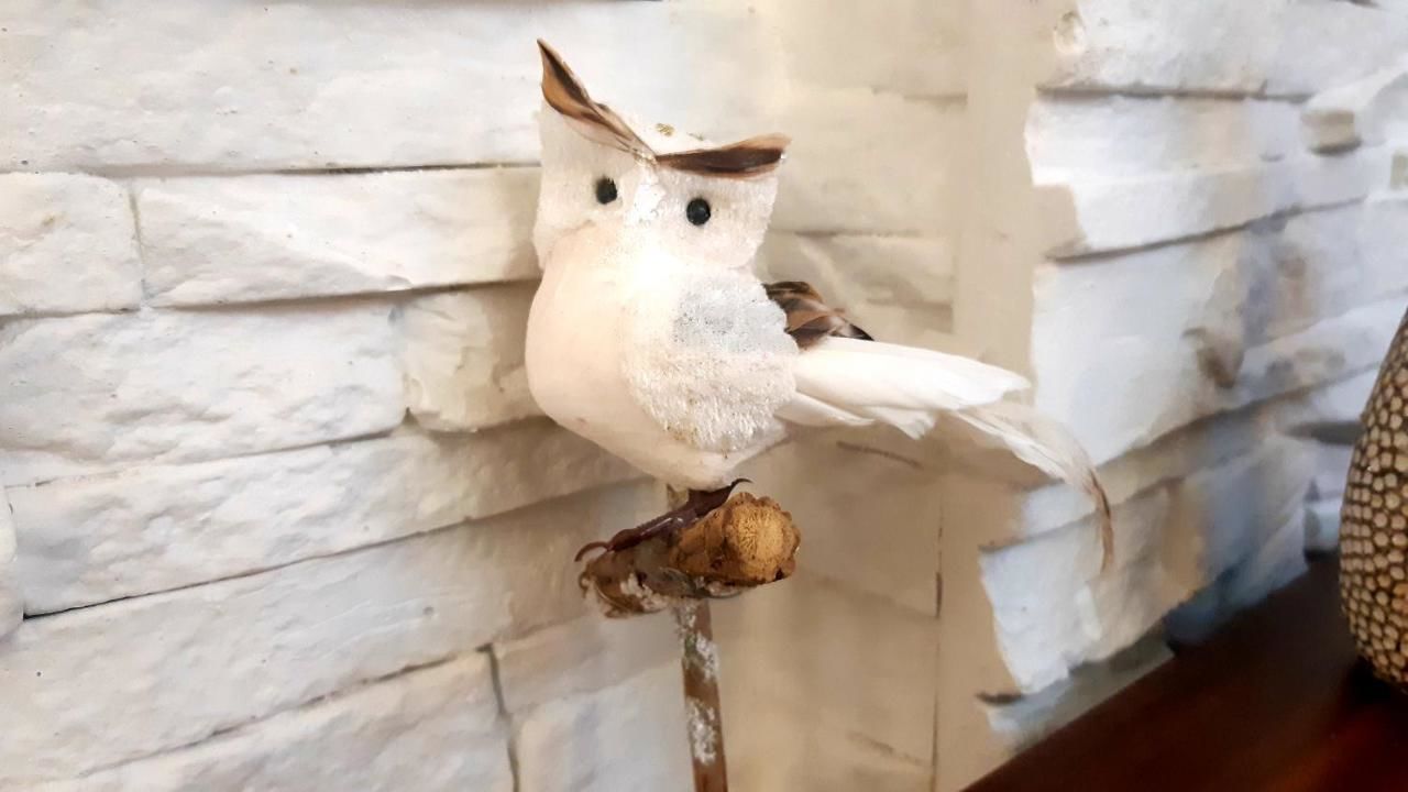 Апартаменты Apartment Nada Котор