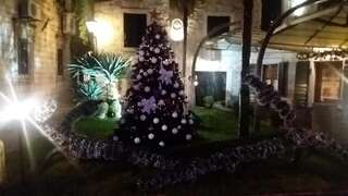 Апартаменты Apartment Nada Котор Апартаменты-студио-115