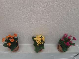 Апартаменты Apartment Nada Котор Апартаменты-студио-116