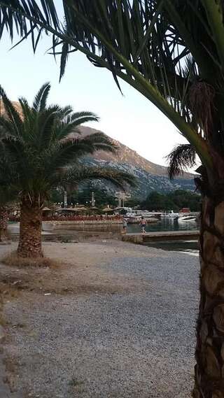 Апартаменты Apartment Nada Котор Апартаменты-студио-118