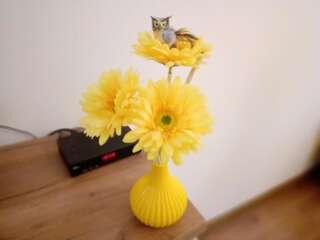 Апартаменты Apartment Nada Котор Апартаменты-студио-70