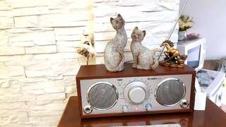 Апартаменты Apartment Nada Котор Апартаменты-студио-88