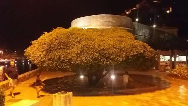 Апартаменты Apartment Nada Котор-138