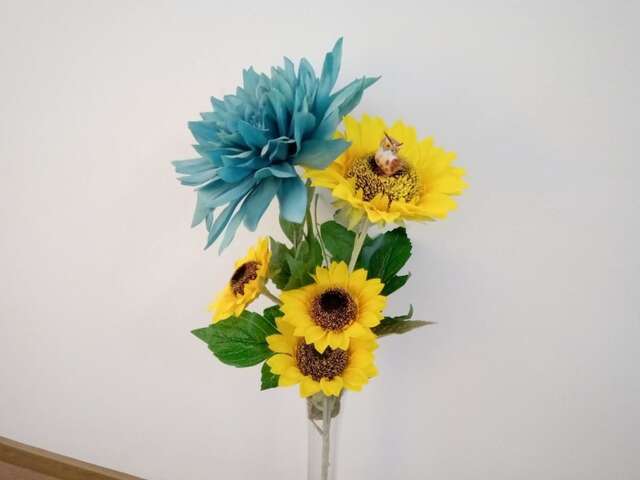 Апартаменты Apartment Nada Котор-20