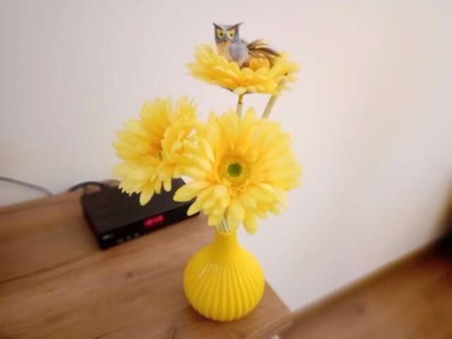 Апартаменты Apartment Nada Котор-25