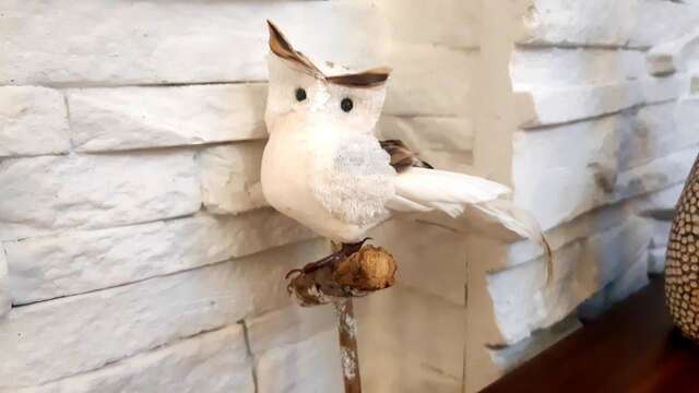 Апартаменты Apartment Nada Котор-28